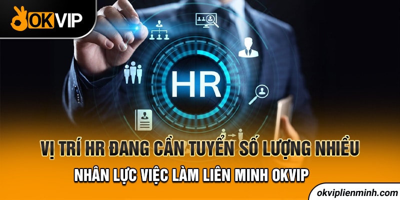 Vị trí HR đang cần tuyển số lượng nhiều nhân lực việc làm liên minh OKVIP