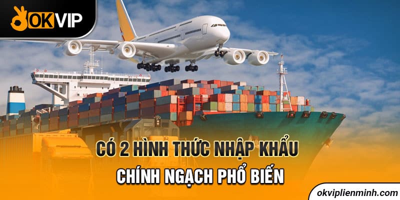 Có 2 hình thức nhập khẩu chính ngạch phổ biến 