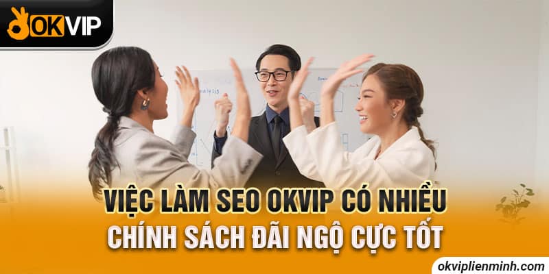 Việc làm SEO OKVIP có nhiều chính sách đãi ngộ cực tốt