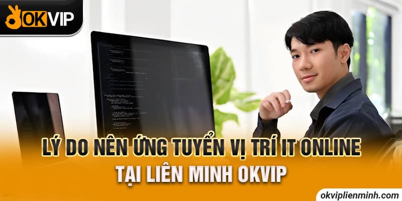 Lý do nên ứng tuyển vị trí IT online tại Liên Minh OKVIP