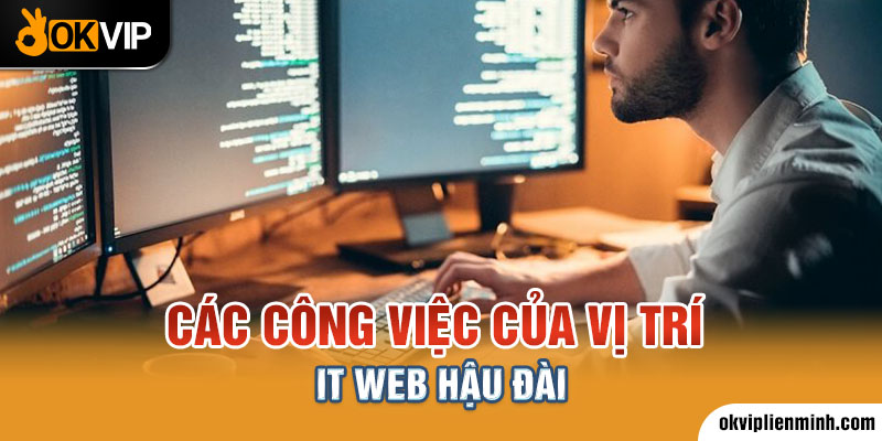 Các công việc của vị trí IT web hậu đài cam